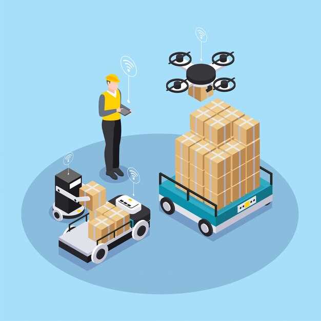Safety, Privacy, and Community Impact in Urban Skies
