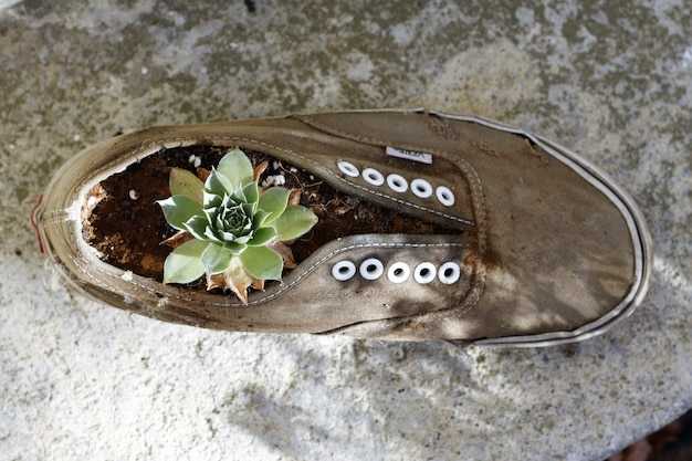 9 Best Sustainable Shoe Brands in India 2025 | Eco-Friendly Footwear Guide 9 Best Sustainable Shoe Brands in India 2025 | Eco-Friendly Footwear Guide