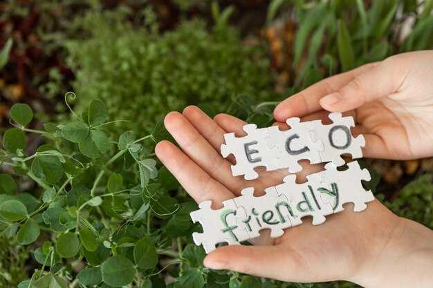 Switch to Clean Power: On-site generation, green procurement, and grid interactions