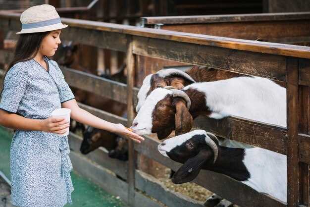 Fairlife's reply: official statements, timelines, and reforms