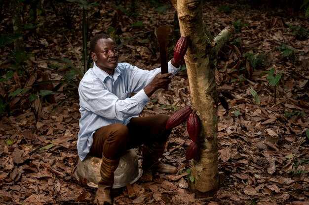 Which specific farming practices Rainforest Alliance audits require from Cameroonian cocoa growers?
