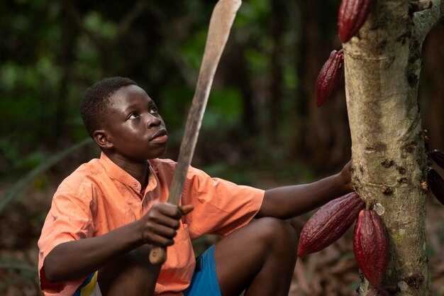 Barry Callebaut Launches Largest Sustainable Cocoa Program in Cameroon with Rainforest Alliance Barry Callebaut Launches Largest Sustainable Cocoa Program in Cameroon with Rainforest Alliance