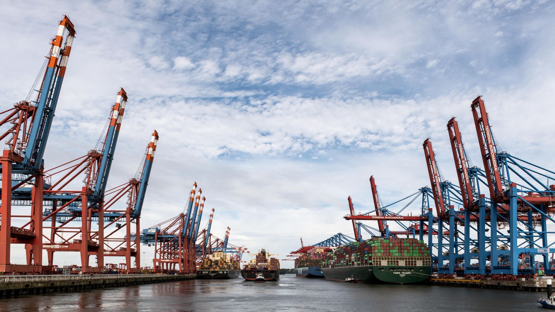 Ship-to-shore gantry cranes working a container terminal