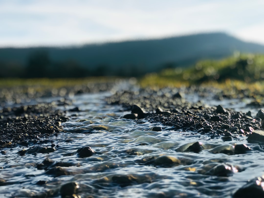 Shallow river water running over an exposed gravel bed at low water