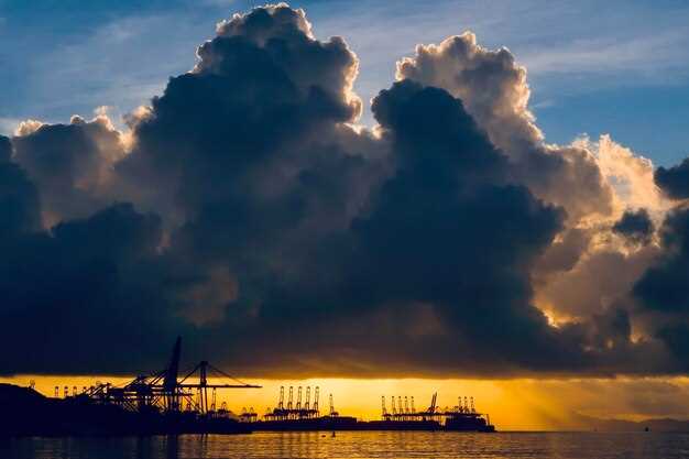 Can the WTO Weather the Storm: Practical Reform Pathways for Global Trade