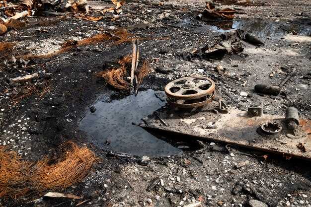 Deepwater Horizon Oil Spill: Causes, Impacts, and Environmental Lessons