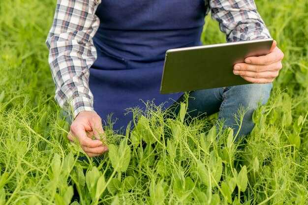 How a possible shutdown could affect USDA inspections and relief programs