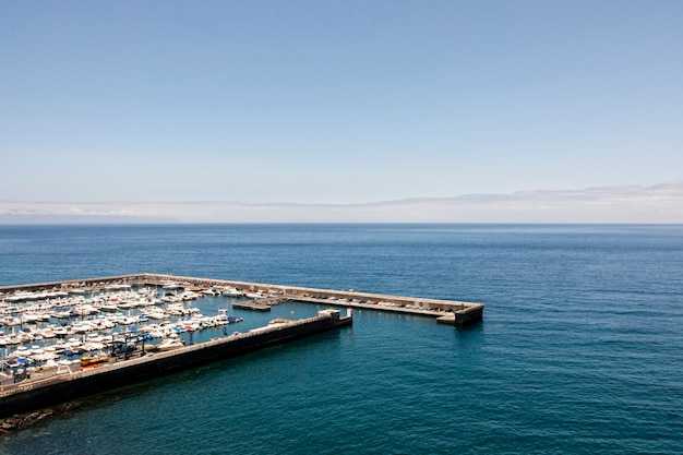 Customs, inspection times, and documentation streamlining under pressure