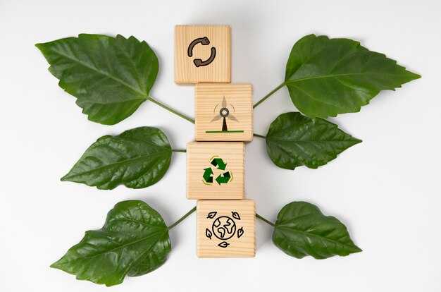 Setting up take-back, refurbishment, or recycling streams
