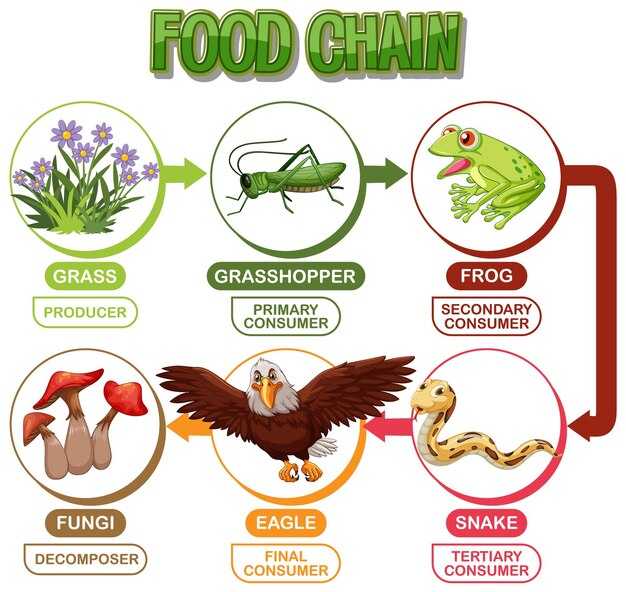 Dietary Impacts on Species Extinction Risk
