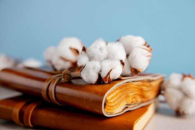Gap Commits to Sourcing Cotton from 100 Sustainable Sources by 2025