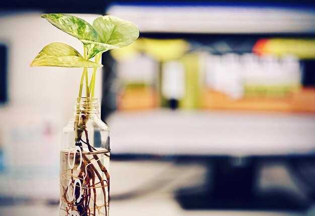 House Passes BIO-Backed Legislation to Expand Access to Capital for Biotech Firms