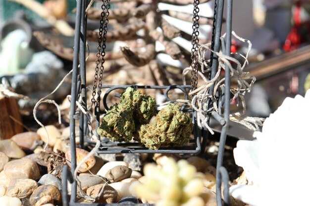 Strategic Entry Paths: JV vs Licensing Options for Cannabis Market Access