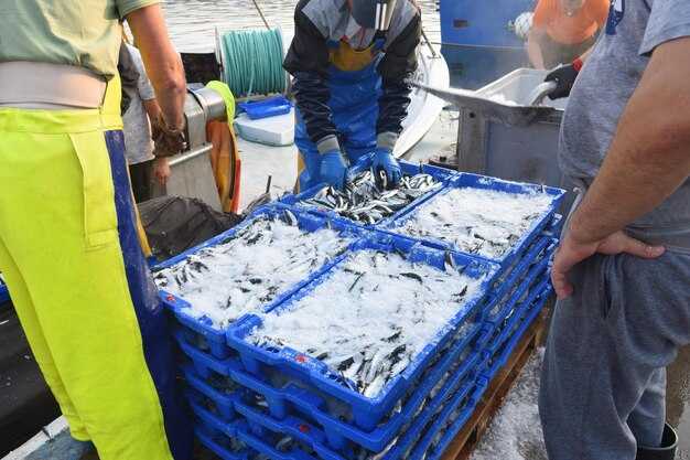 IMO Agrees to Draft a Revised Action Plan to Tackle Marine Plastics IMO Agrees to Draft a Revised Action Plan to Tackle Marine Plastics