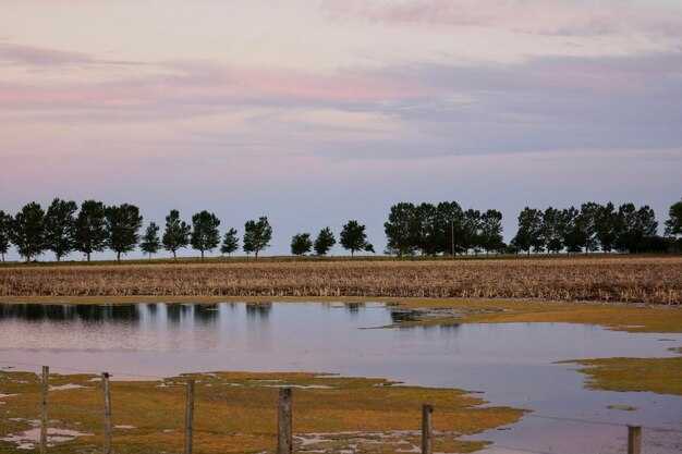 Low Mississippi River Levels Jeopardize Farm Income Again