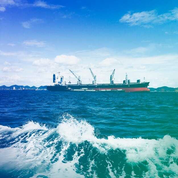 Key Partners and Roles: Maersk, AIM, HM Levi, and Customer Allies