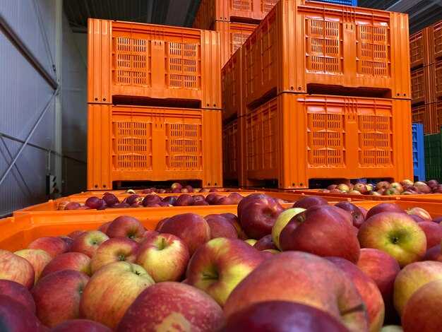 Cross-border compliance, documentation, and end-to-end traceability