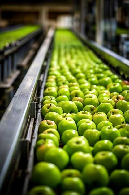 Maersk Launches Integrated Packing and Cold Storage Hub to Boost Peru's Fruit Exports