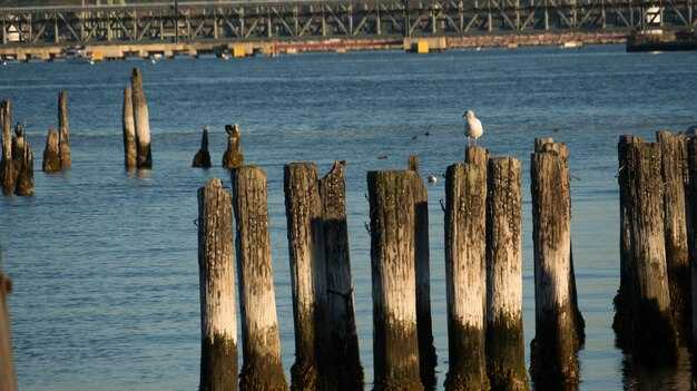 Mississippi River Shipping Infrastructure Is Aging: Who Should Pay?