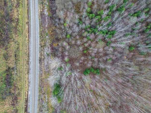Nestlé Reaches Deforestation-Free Supply Chain Milestone