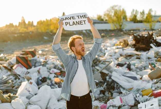 Which toilet paper brands are implicated and what practices harm boreal forests