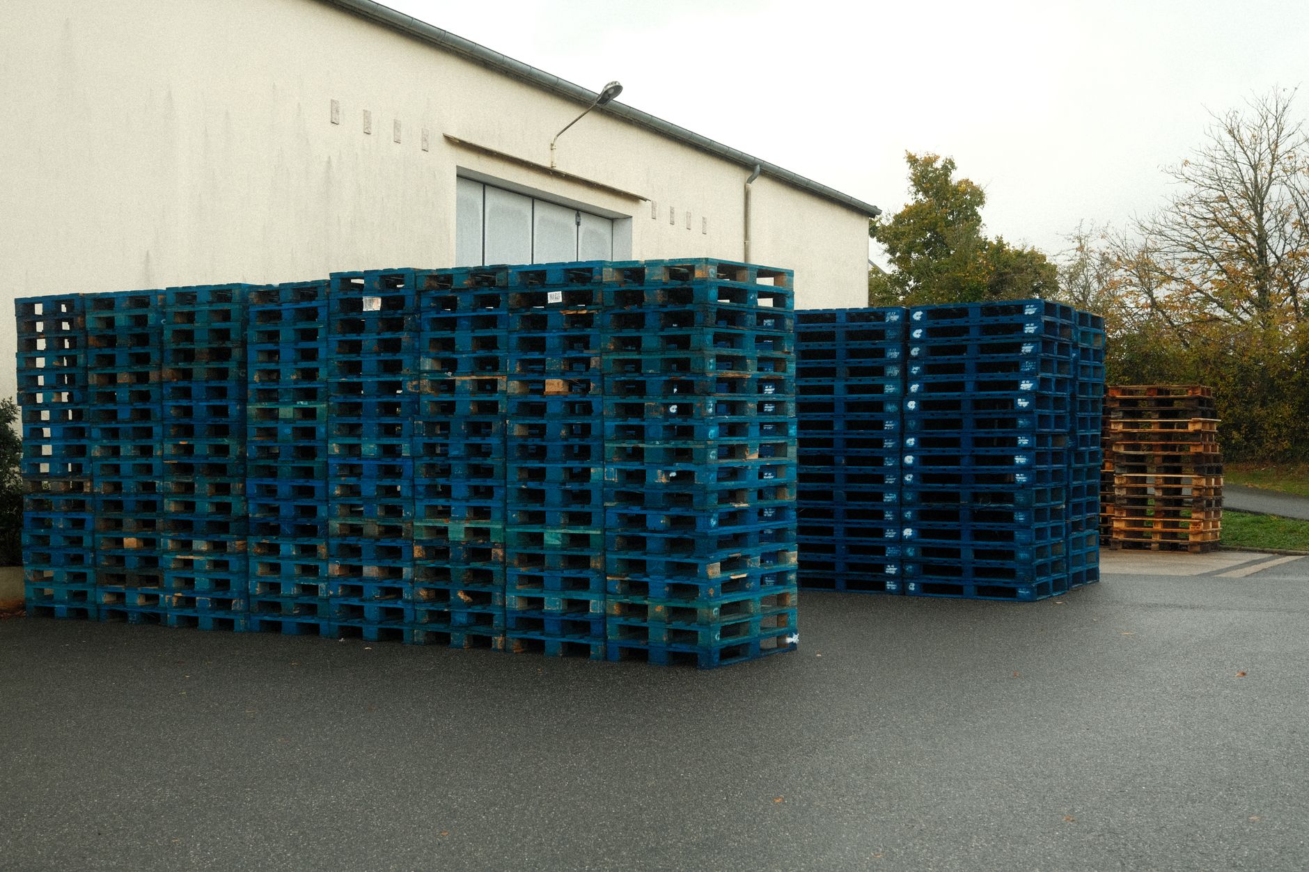 Shrink-wrapped palletised freight stacked on tall warehouse racking