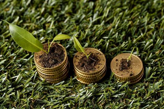 Supplier and Footprint Actions: Targeted contracts, plant rationalization, and automation investments