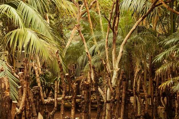Mapping the supply chain: end-to-end data capture from plantation to export