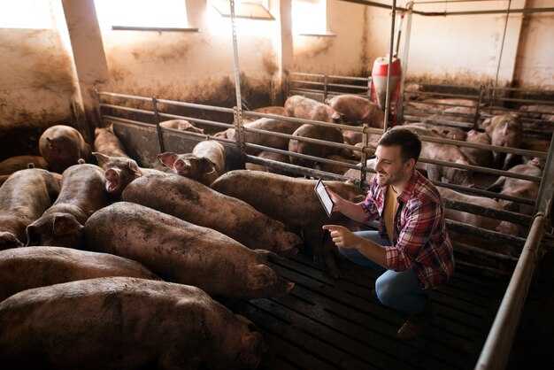 Prop 12 Impact - Financial Uncertainties for Pork Producers Prop 12 Impact: Financial Uncertainties for Pork Producers