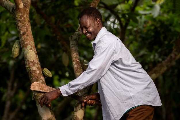 From bean to bar: tracing supply chains and identifying gaps in traceability