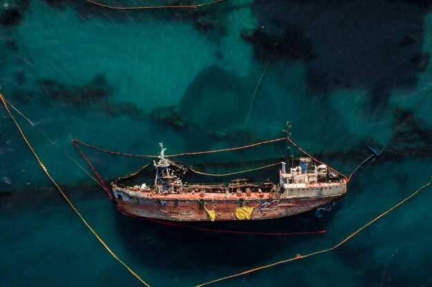 Ships Piled Up as Longshore Strike Hits East Coast Ports - Shipping Backlog and Delays