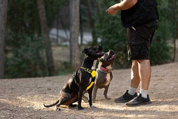 Shoe Dog - Nike's Early Years Were a Constant Cash Battle Shoe Dog: Nike's Early Years Were a Constant Cash Battle