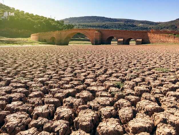 Sugar Prices Surge as Brazil's Drought and Fires Threaten Sugar Production