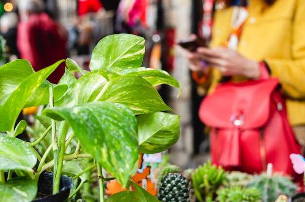 Sustainability in Retail - Essential Green Practices for Businesses Sustainability in Retail: Essential Green Practices for Businesses