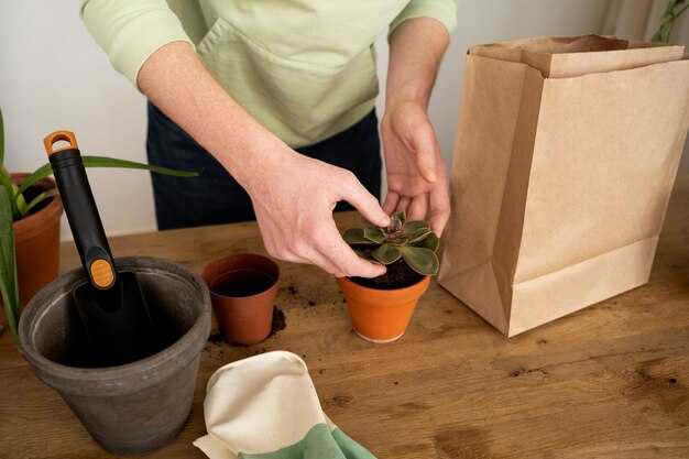 Sustainable Packaging: How to Choose Eco-Friendly Materials