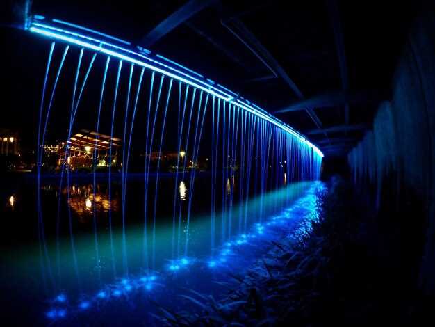 Bridging Adoption Gaps with Targeted Tech Deployment