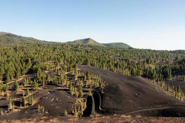 Unilever, Mars, Hershey & World’s Largest Palm Oil Traders Suspend Rogue Supplier Over Relentless Deforestation