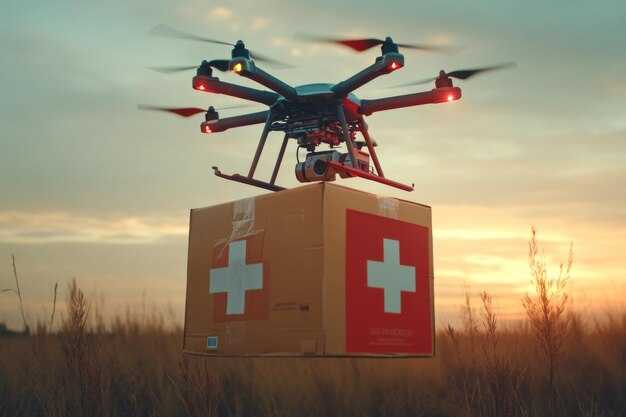 What can Rwanda's Zipline model teach about national drone services and disaster relief?