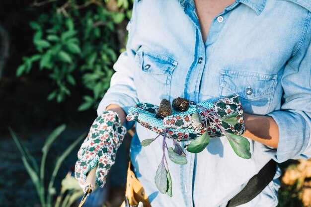 Zara and H&M Cotton Boom in the Cerrado: Supply Chains, Deforestation Controversies, and Change Strategies