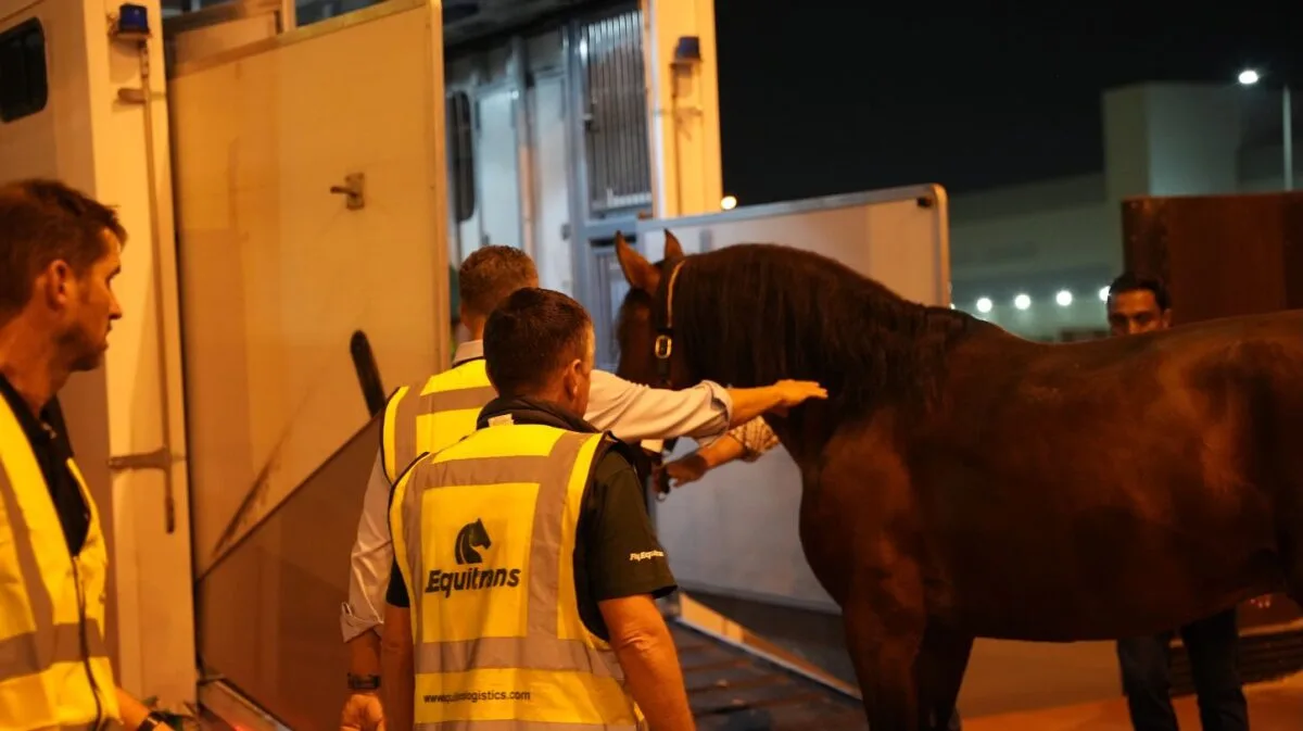 Hinter den Kulissen von Equitrans' präziser Pferde-Logistik für den Start der Reitkunst in Abu Dhabi