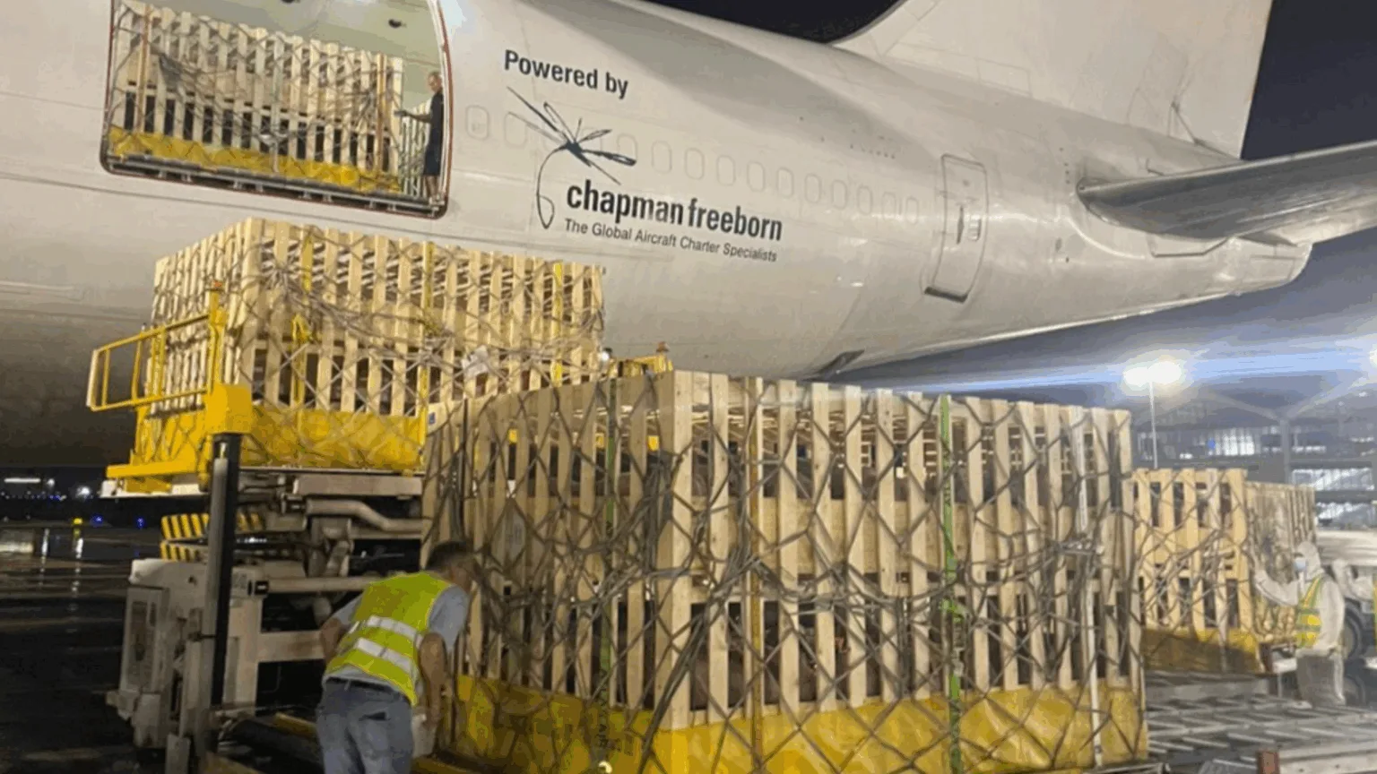 Η Εξειδικευμένη Αερομεταφορά 1.200 Αναπαραγωγικών Χοίρων από τη Δανία στις Φιλιππίνες της Intradco Global