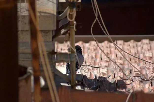 Pasos prácticos para prevenir el trabajo infantil y la esclavitud moderna en las cadenas de suministro con acciones prácticas para la gestión de riesgos, remediación y transparencia