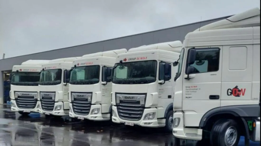 Was die Insolvenz der Grupo De Wolf für die belgische Straßenfracht- und Logistikbranche bedeutet