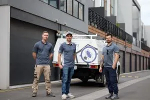 Skuteczne rozwiązania kontroli ptaków zwiększają bezpieczeństwo w magazynach dystrybucyjnych