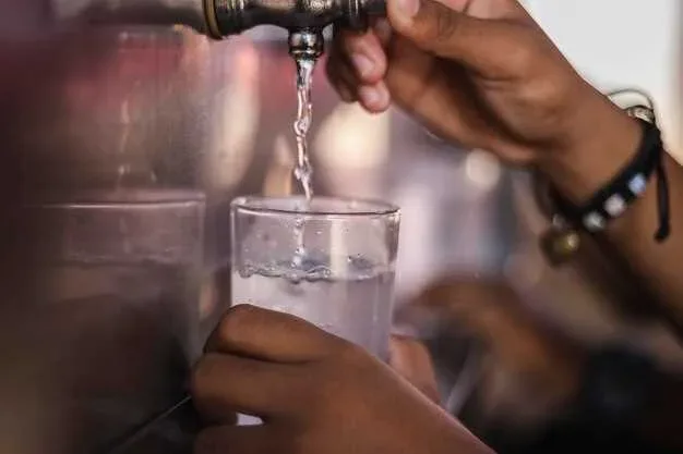 Nestlé Extrage Milioane de Litri de Apă În Timp Ce Localnicii Nu Au Apă Potabilă