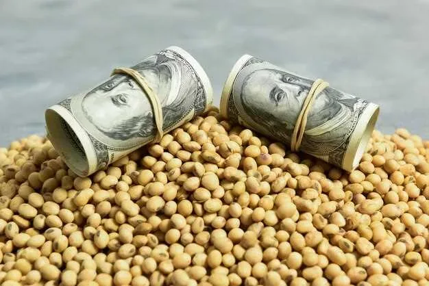 Soybean Bailout - Hard-Hit Farmers Want China Trade More Than Trump Aid