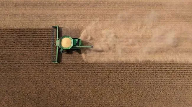 Cómo las reanudadas importaciones chinas de soja estadounidense están moldeando la dinámica comercial y del transporte