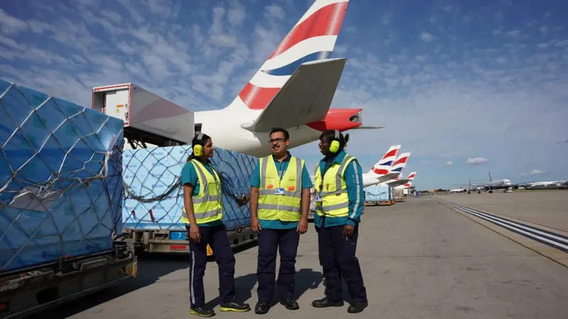 Impactul investițiilor în lanțul frigorific asupra eficienței logistice