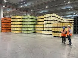 Revolutionierung der Healthcare-Logistik: Die innovativen Cold-Chain-Lösungen von CEVA Logistics in Asien