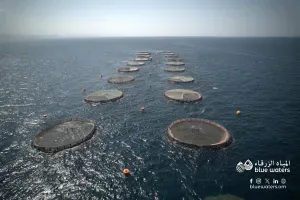 Blue Waters evidențiază inovațiile durabile în domeniul fructelor de mare la HORECA Oman 2025